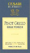 Due Torri - Pinot Grigio Friuli 2019 (375ml)